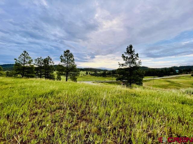 119 La Ventana Place Pagosa Springs CO 81147