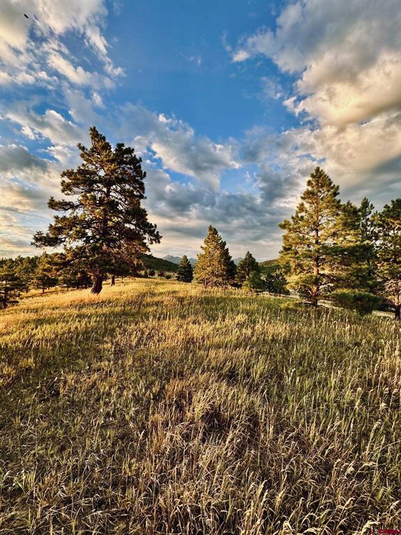 119 La Ventana Place Pagosa Springs CO 81147