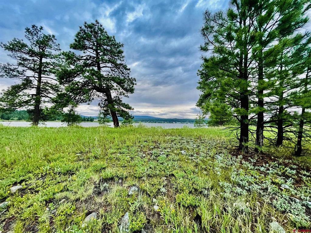 119 La Ventana Place Pagosa Springs CO 81147