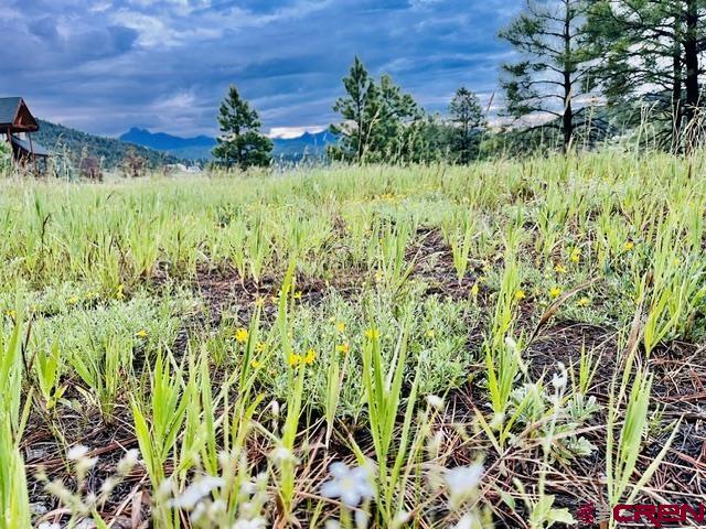 119 La Ventana Place Pagosa Springs CO 81147