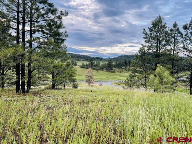 119 La Ventana Place Pagosa Springs CO 81147