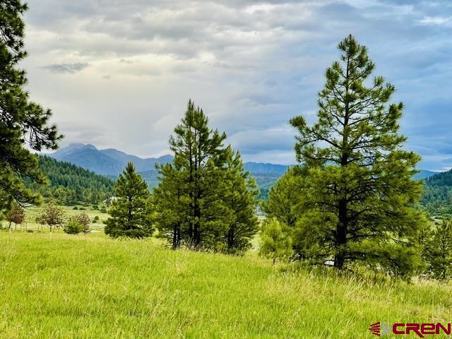 119 La Ventana Place Pagosa Springs CO 81147