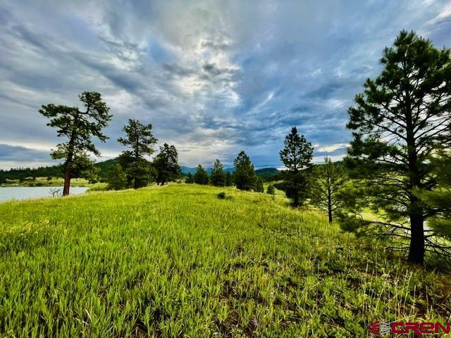 119 La Ventana Place Pagosa Springs CO 81147