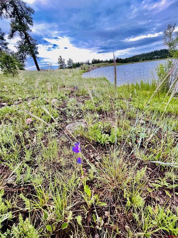 119 La Ventana Place Pagosa Springs CO 81147