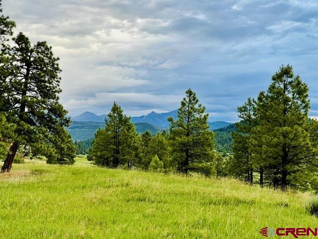 119 La Ventana Place Pagosa Springs CO 81147