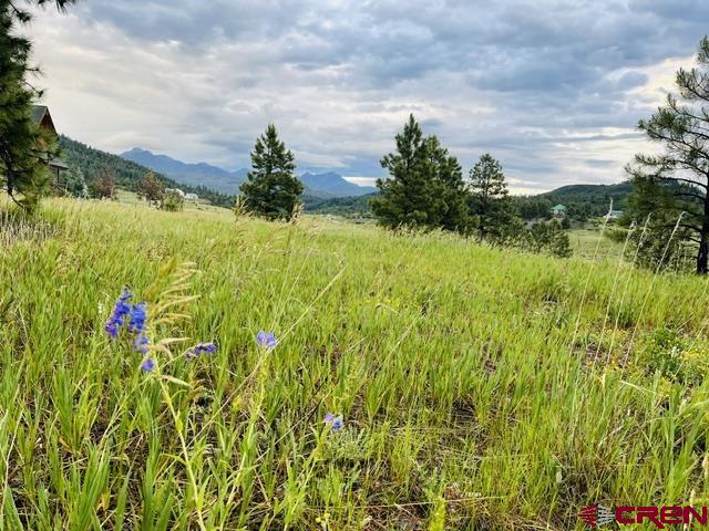 119 La Ventana Place Pagosa Springs CO 81147