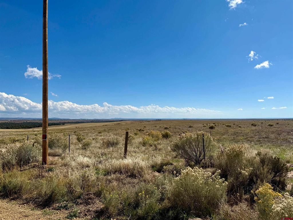 Tbd Lot 1 Cr 116 Hesperus CO 81326