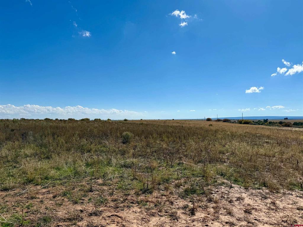 Tbd Lot 1 Cr 116 Hesperus CO 81326