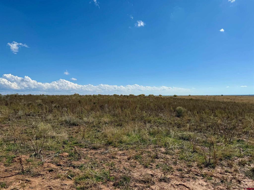 Tbd Lot 1 Cr 116 Hesperus CO 81326