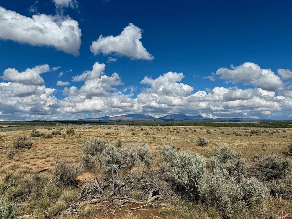 Tbd Lot 1 Cr 116 Hesperus CO 81326