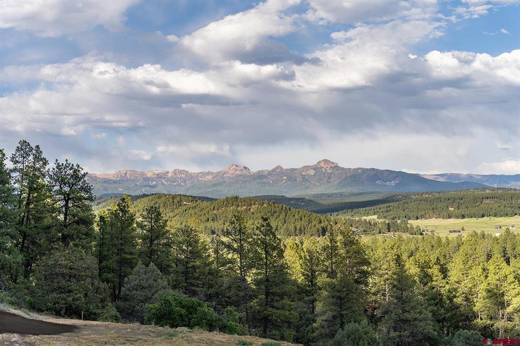 Pagosa Springs CO, 61 Boulder View Ct., 313 Alder Pl. & 331 W Blue Lake
