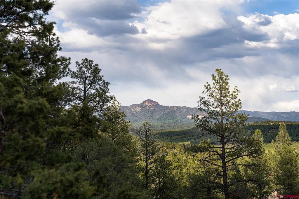 61 Boulder View Ct., 313 Alder Pl. & 331 W Blue Lake Place Pagosa Springs CO 81147