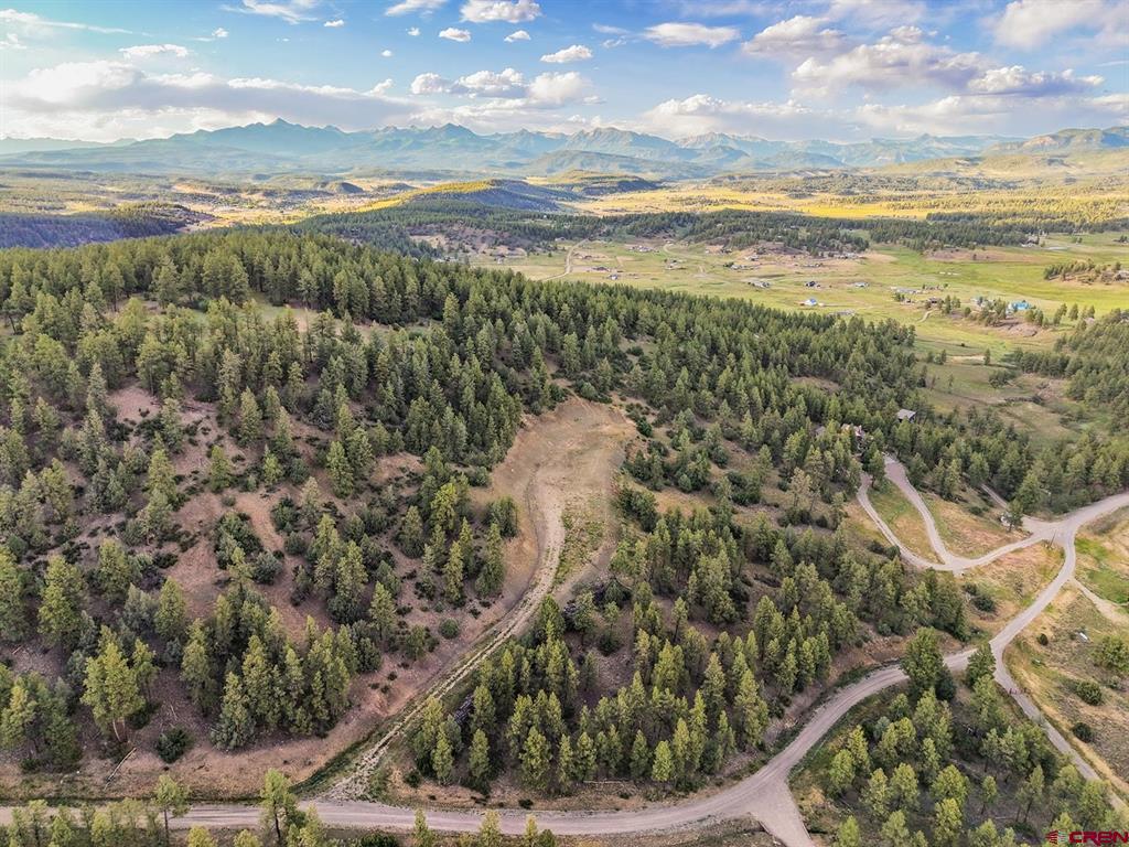 61 Boulder View Ct., 313 Alder Pl. & 331 W Blue Lake Place Pagosa Springs CO 81147