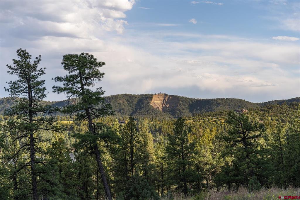 61 Boulder View Ct., 313 Alder Pl. & 331 W Blue Lake Place Pagosa Springs CO 81147