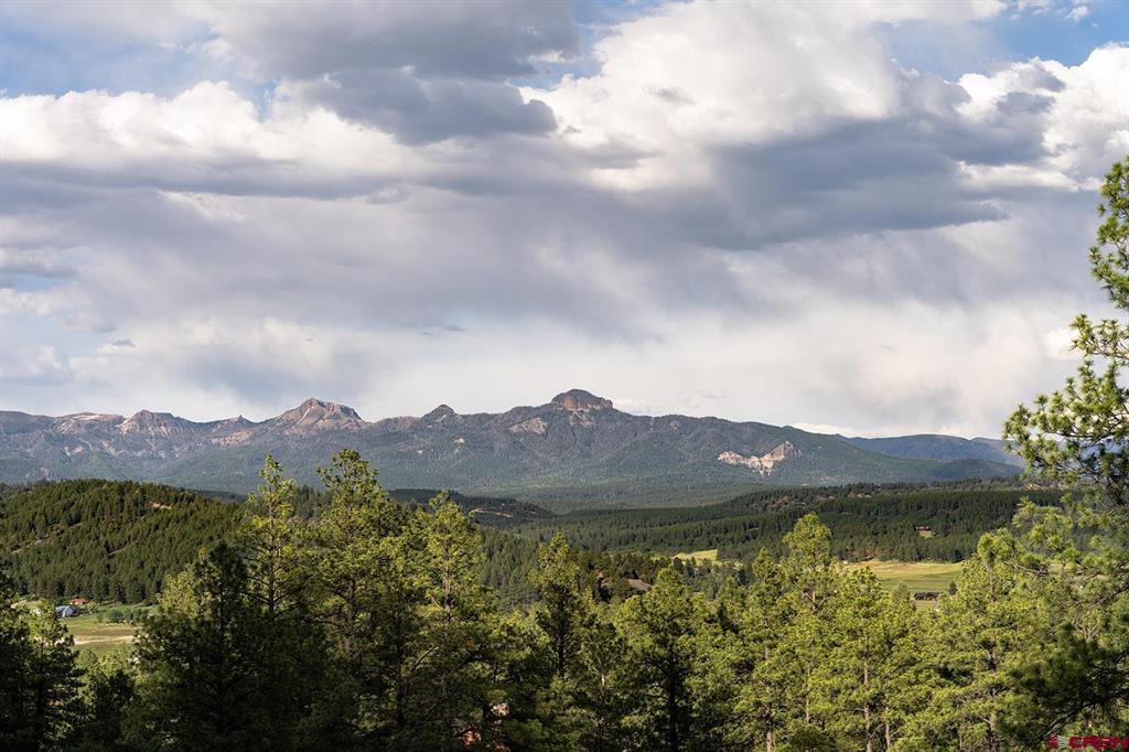 61 Boulder View Ct., 313 Alder Pl. & 331 W Blue Lake Place Pagosa Springs CO 81147