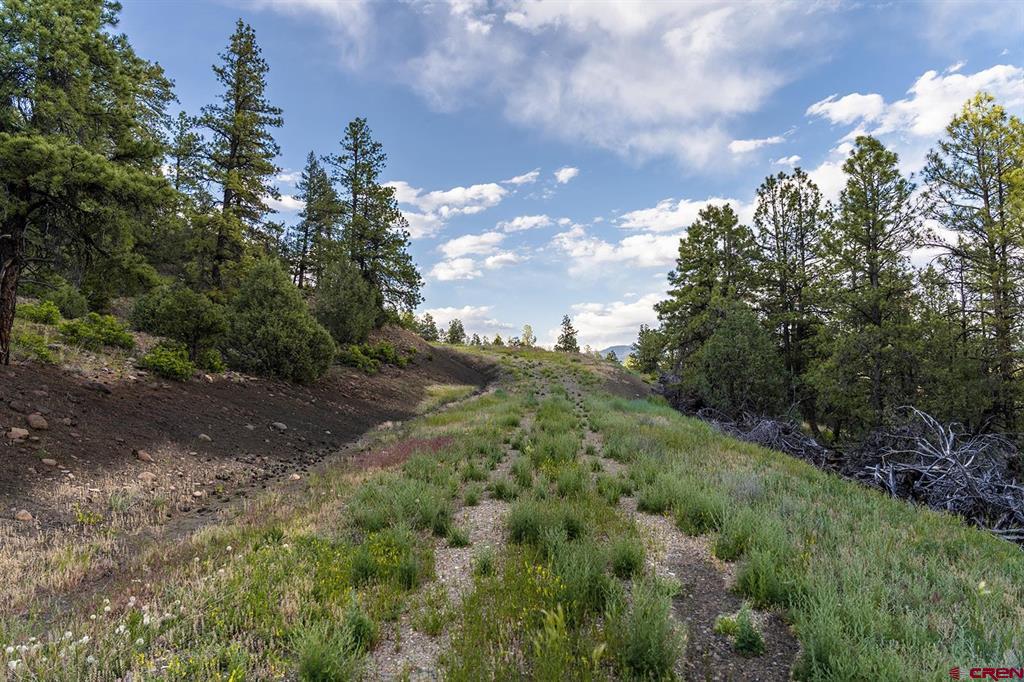 61 Boulder View Ct., 313 Alder Pl. & 331 W Blue Lake Place Pagosa Springs CO 81147