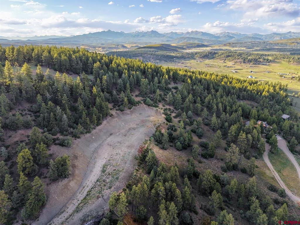 61 Boulder View Ct., 313 Alder Pl. & 331 W Blue Lake Place Pagosa Springs CO 81147