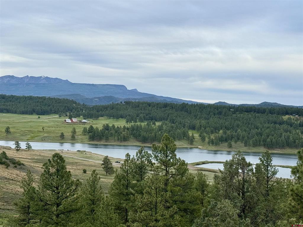 61 Boulder View Ct., 313 Alder Pl. & 331 W Blue Lake Place Pagosa Springs CO 81147