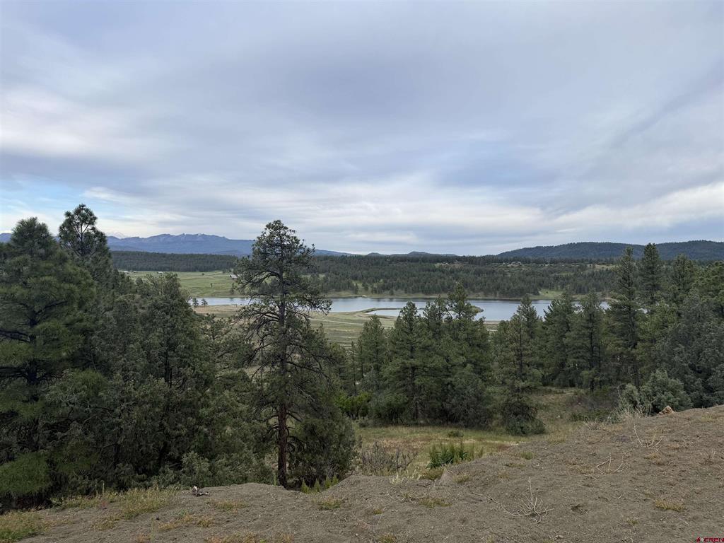 61 Boulder View Ct., 313 Alder Pl. & 331 W Blue Lake Place Pagosa Springs CO 81147