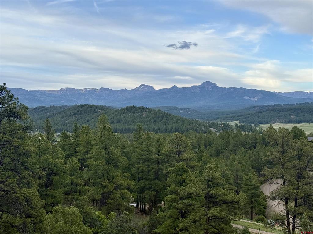 61 Boulder View Ct., 313 Alder Pl. & 331 W Blue Lake Place Pagosa Springs CO 81147