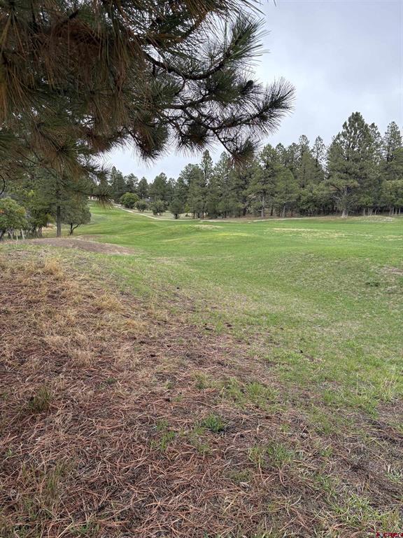 Tbd Lot 439 S Badger Trail Ridgway CO 81432