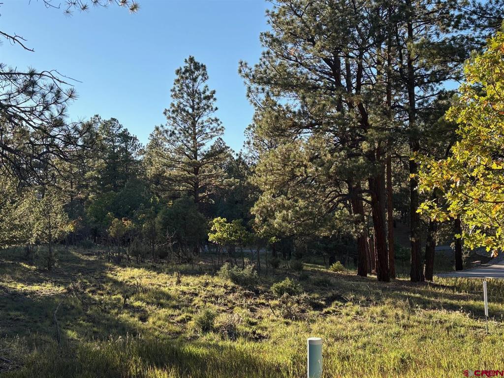 Tbd Lot 439 S Badger Trail Ridgway CO 81432