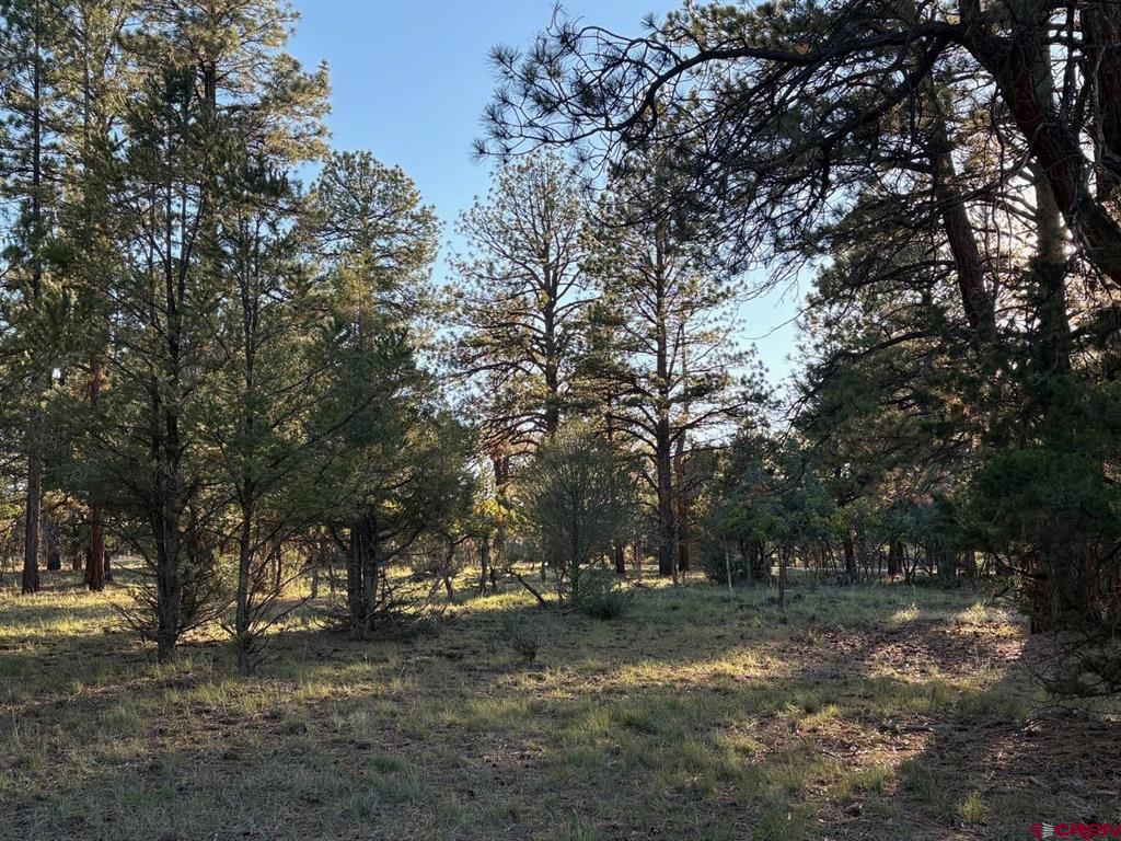 Tbd Lot 439 S Badger Trail Ridgway CO 81432
