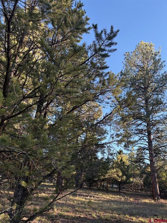 Tbd Lot 439 S Badger Trail Ridgway CO 81432
