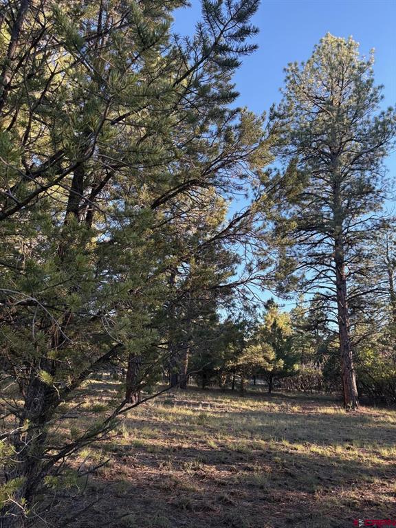 Tbd Lot 439 S Badger Trail Ridgway CO 81432