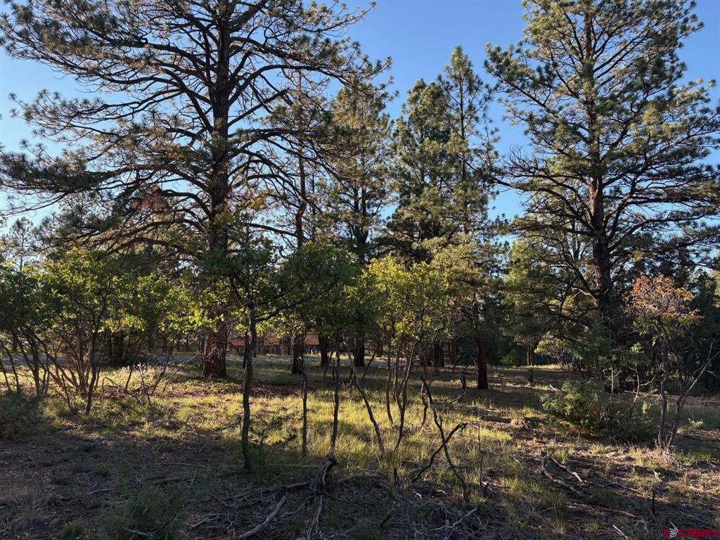 Tbd Lot 439 S Badger Trail Ridgway CO 81432