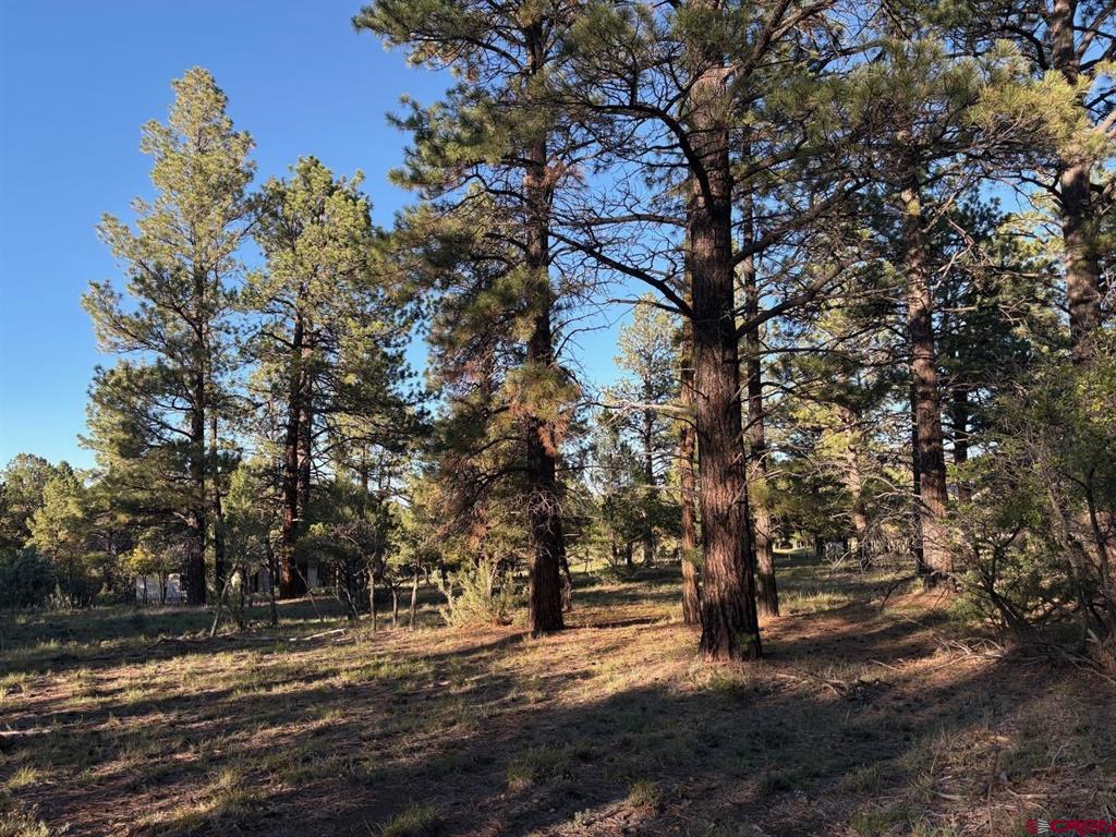 Tbd Lot 439 S Badger Trail Ridgway CO 81432
