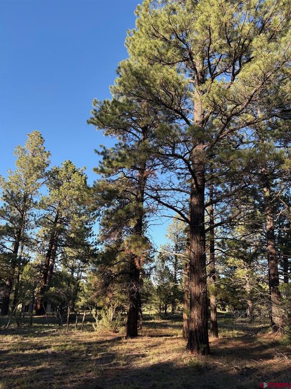Tbd Lot 439 S Badger Trail Ridgway CO 81432