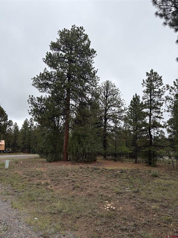 Tbd Lot 439 S Badger Trail Ridgway CO 81432