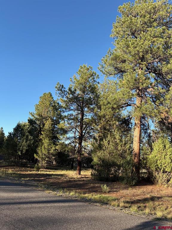 Tbd Lot 439 S Badger Trail Ridgway CO 81432