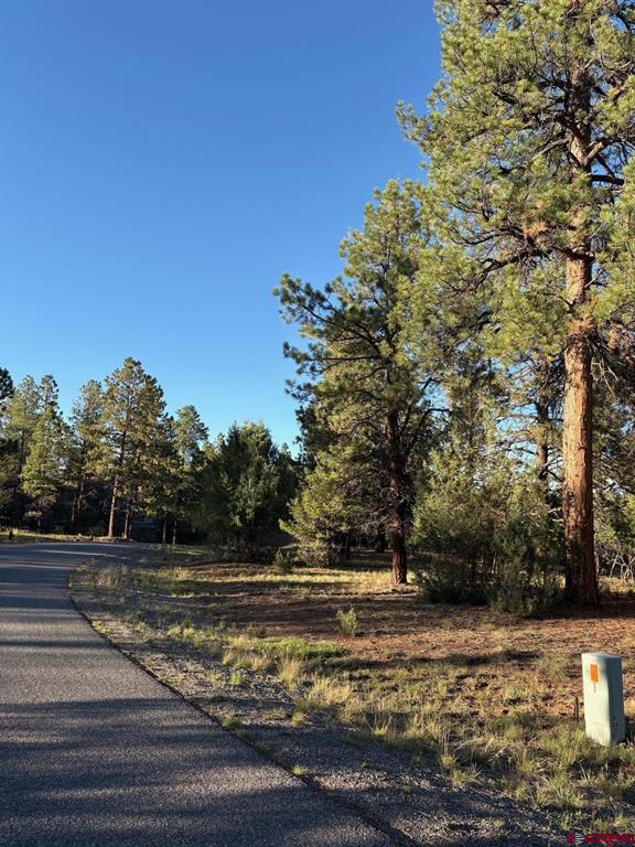 Tbd Lot 439 S Badger Trail Ridgway CO 81432