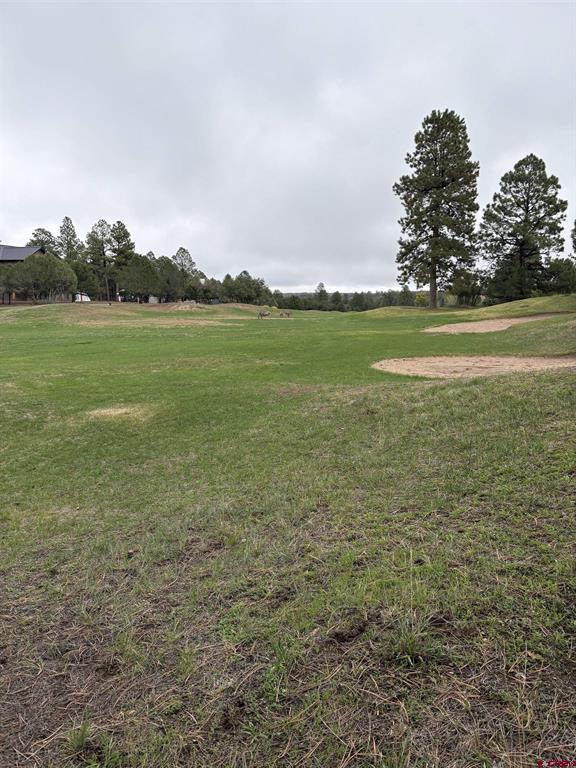 Tbd Lot 439 S Badger Trail Ridgway CO 81432