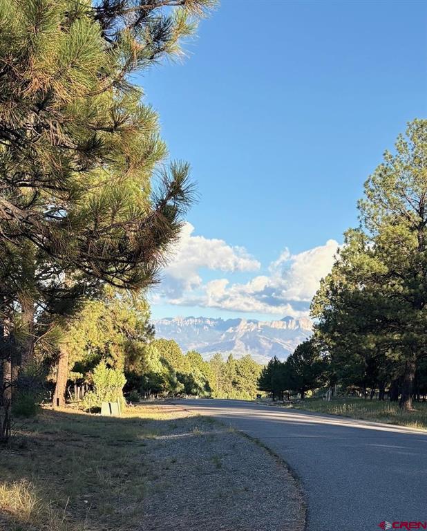 Tbd Lot 439 S Badger Trail Ridgway CO 81432