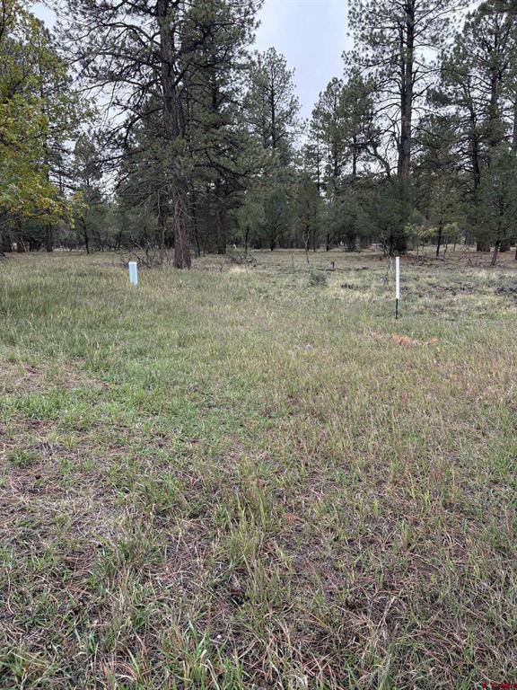 Tbd Lot 439 S Badger Trail Ridgway CO 81432