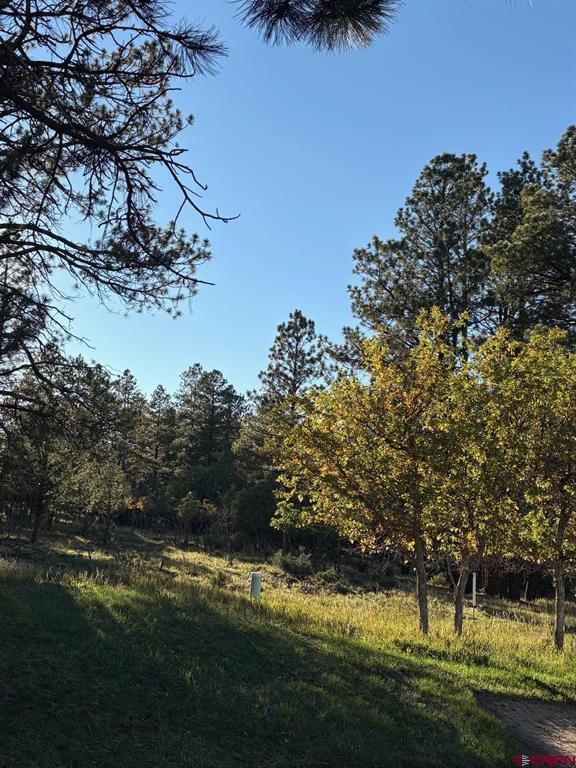 Tbd Lot 439 S Badger Trail Ridgway CO 81432