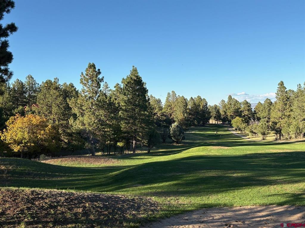 Tbd Lot 439 S Badger Trail Ridgway CO 81432
