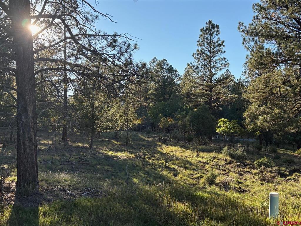 Tbd Lot 439 S Badger Trail Ridgway CO 81432