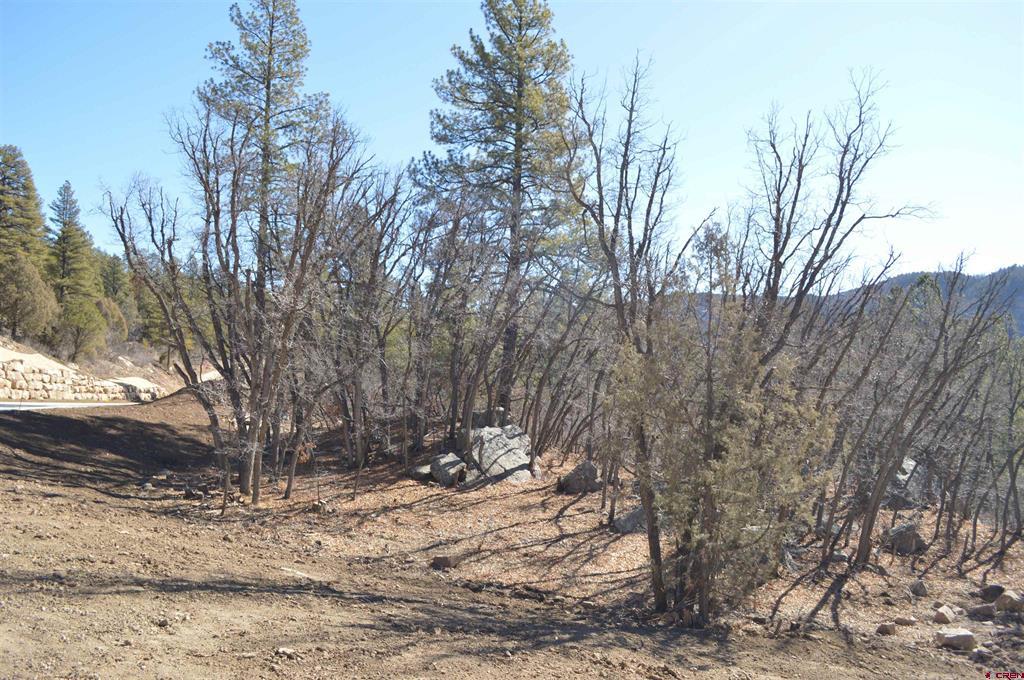 830 Tipple Avenue (Lot 146) Durango CO 81301
