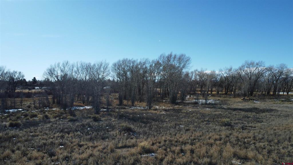Tbd Cottonwood Drive Alamosa CO 81101