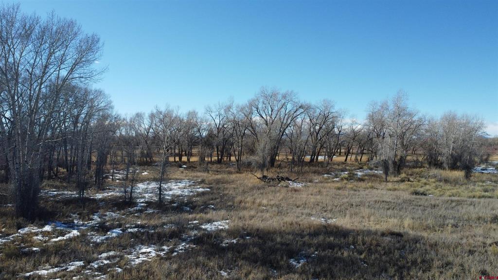 Tbd Cottonwood Drive Alamosa CO 81101