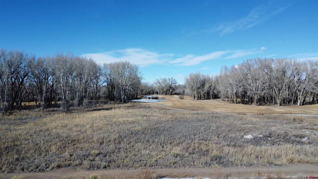 Tbd Cottonwood Drive Alamosa CO 81101