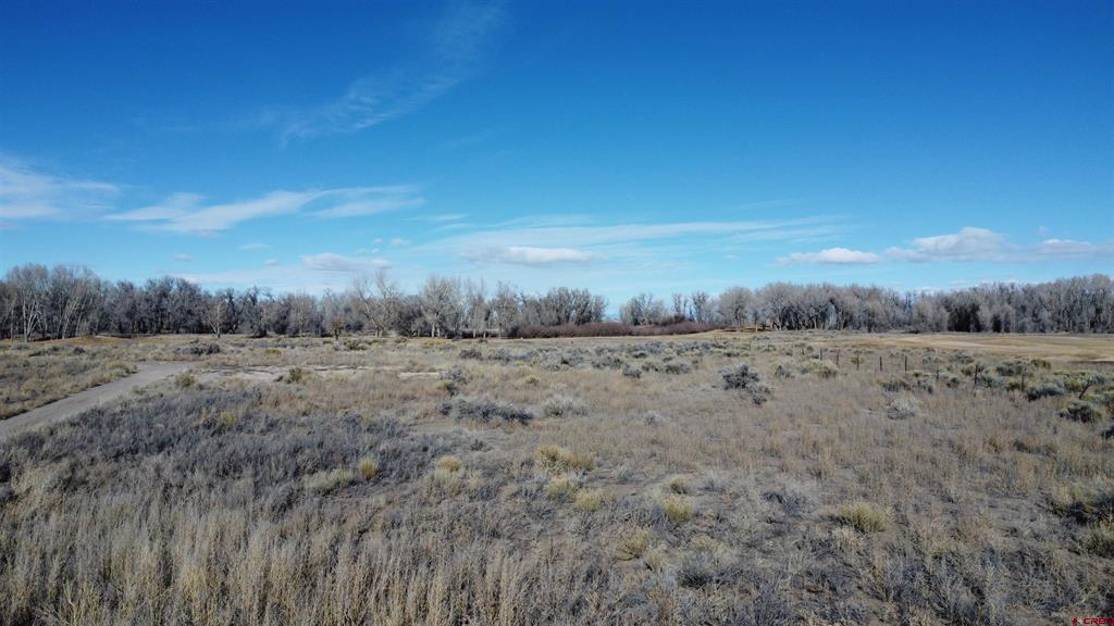 Tbd Cottonwood Drive Alamosa CO 81101