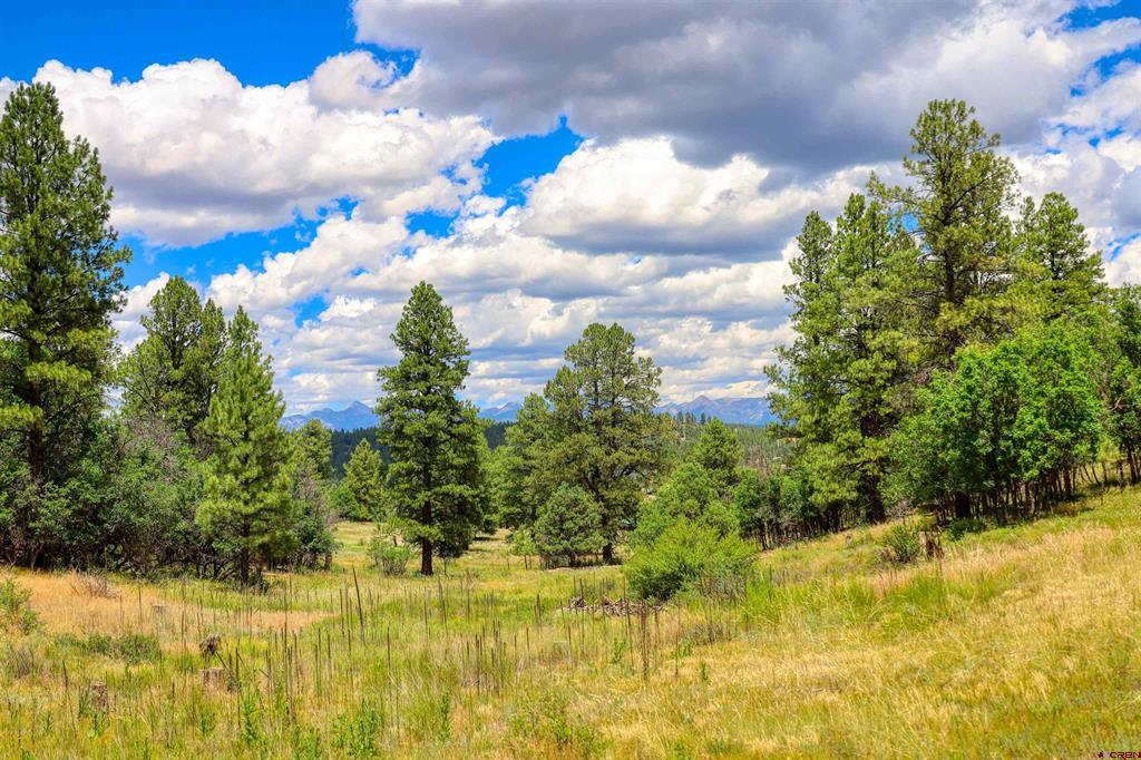 472 San Juan Drive Pagosa Springs CO 81147