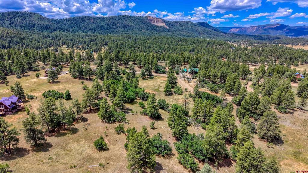 472 San Juan Drive Pagosa Springs CO 81147
