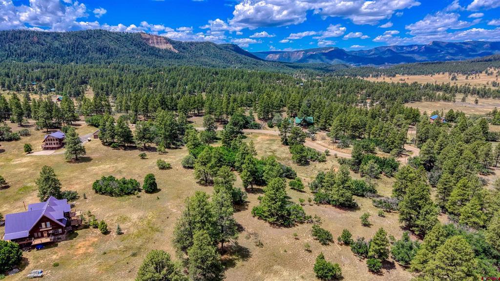 472 San Juan Drive Pagosa Springs CO 81147