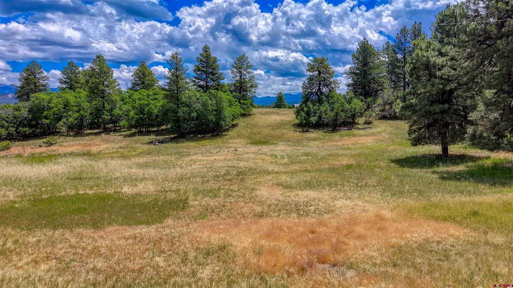 472 San Juan Drive Pagosa Springs CO 81147